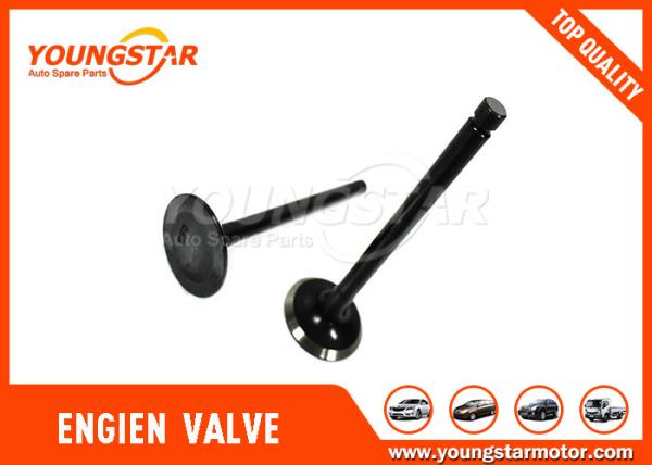 G4HC Car Engine Valves For HYUNDAI Atos 1.0 / 12V 999c.c 22211 - 02500 (IN)