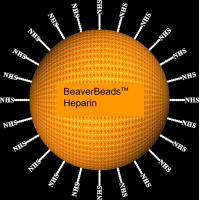 Buy cheap Agarose Heparin Magnetic Beads Protein Purification 150 μm 10% Volume Ratio 100 product