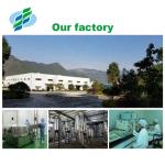 Powdered Lotus Leaf Extract Nuciferine 10% 50% 98% For Lose Weight Products