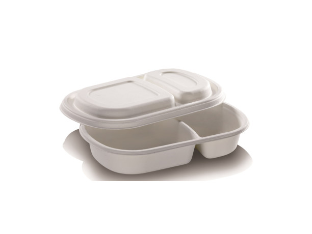 Biodegradable Pulp Molded Fast Food Tray Equipment