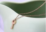 Stainless Steel Key Pendant Rose Gold Necklace Fashion Jewelry Necklace