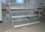 Q235 Layer Bird Cage 3 Tier 5 Doors Galvanized Chicken Layer Cages