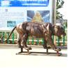 Buy cheap 3m Realistic Outdoor Bronze Sculpture Aantique Bronze Tiger Statue from wholesalers