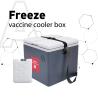 Buy cheap Phefon Grey 1.7Ltr Vaccine Cooler Box For Cold Chain Storage from wholesalers