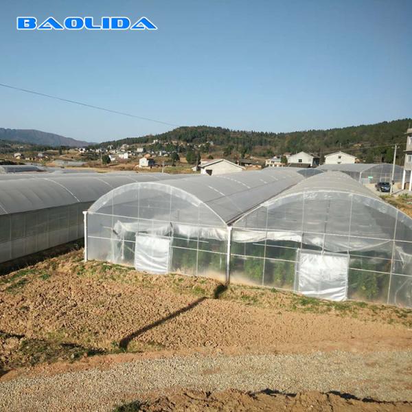 Buy cheap Plant Nursery Polyethylene Film Greenhouse Kit / Farm Tech Greenhouses from wholesalers