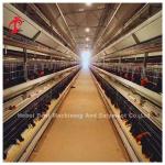 Full Automatic Battery Cage Price In Nigeria H type layer Mia