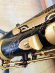 High-end saxophone, E flat, children, beginners, adults, playing musical