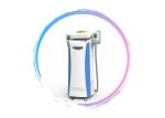 Fat Reduction cryolipolysis weight loss beauty equipment Cryolipolysis Slimming