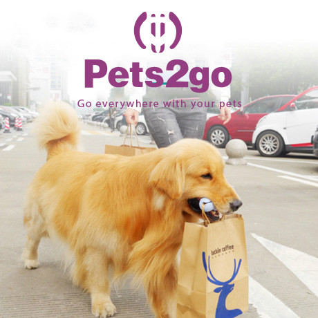 Pets2go Interactive Rubber 127x44mm Pet Chew Toys