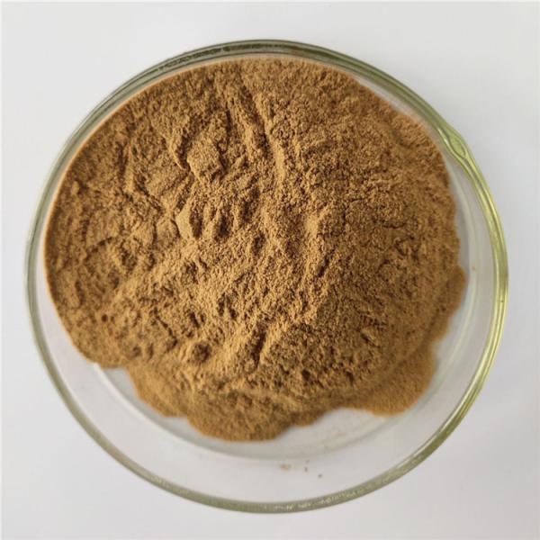 Quality Herbal Sex Medicine For Men Fenugreek Extract for sale