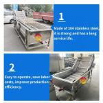 Seafood Bubble Washing Machine for Fruit and Vegetable Pepper 3000*1160*1400mm