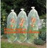Buy cheap Greenhouse, Agricultural Polyethylene Film, Mulch Films, Horticultural Products, Perforated Wrap, Tomato, Flowers from wholesalers