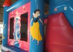 Pink Princess PVC Tarpaulin Inflatable Jumping Castle Slide For Kids