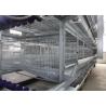 Buy cheap A Type Chicken Battery Cages Save Energy Consumption Long Service Life from wholesalers