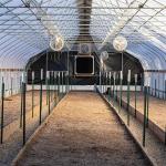 Film Galvanized Sheet Light Deprivation Greenhouse Kits Length 30-60m