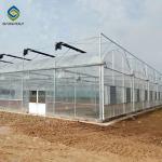 Custom 0.35KN/M2 33ft Tomato Polyethylene Film Greenhouse
