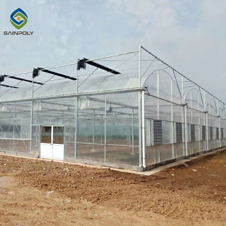 Custom 0.35KN/M2 33ft Tomato Polyethylene Film Greenhouse