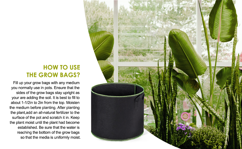 DELXO GROW BAG