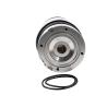 Buy cheap Audi Q7 / Porsche Cayenne / VW Touareg Durable Air Bag Suspension Parts 7L8616019A 7L8616020A from wholesalers