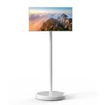 21.5" Incell Capacitive Touch Standbyme Incell Smart Screen High Voltage and 12