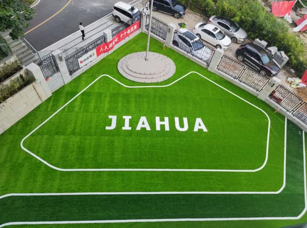 Lawn Turf 40mm And Weathering Color Fastness For All Weather Conditions