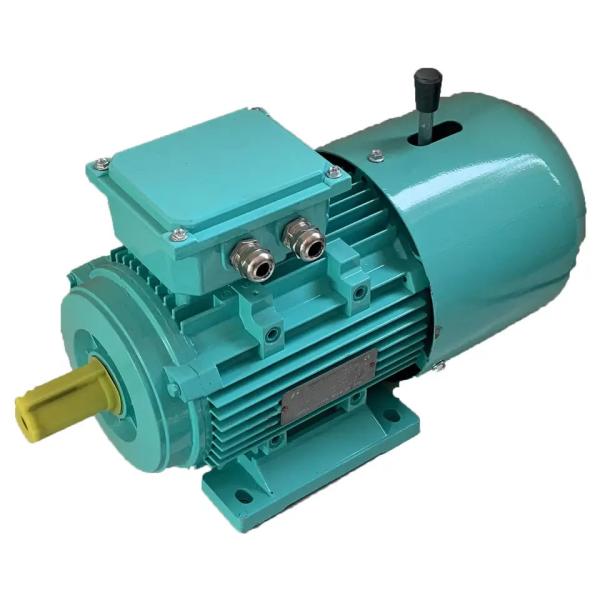 Buy cheap 2 Speed 3 Phase Asynchronous Motor 6 Pole Induction Motor Squirrel Cage Rotor from wholesalers