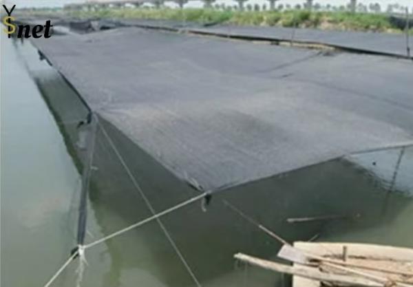 Buy cheap Customized Black Greenhouse Mesh Anti Aging Mesh Shade Cloth 100GSM from wholesalers