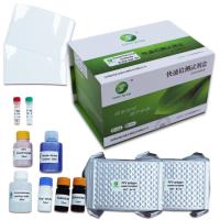 Buy cheap 10min Porcine Parvovirus Test Kit Rapid Test Rtk For Pig 192 Wells/Kit GMP product