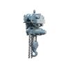 Buy cheap Grey Color Electric Chain Hoist 0.08-160t Alloy Steel Adjustable Speed from wholesalers