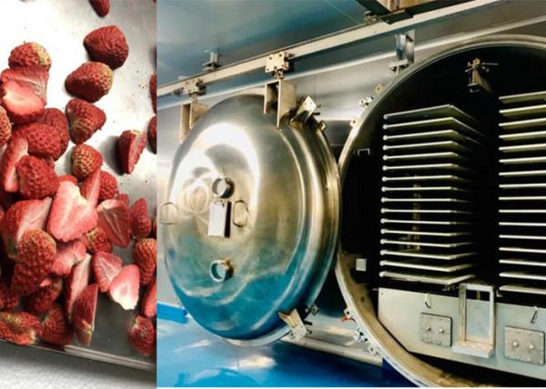 Buy cheap 1000kg Vacuum Freeze Drying Machine With PLC Remote Control from wholesalers