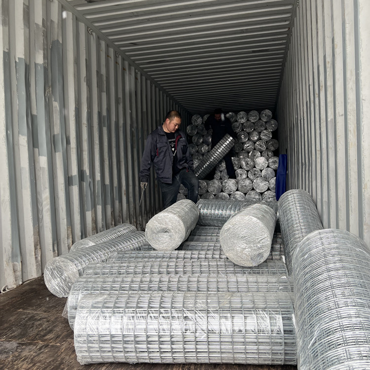 High Quality High-Strength Hot Dipped Galvanized Welded Wire Mesh for Building Wall Plaster Included