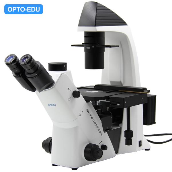 Buy cheap Optical Laboratory Inverted Microscope from wholesalers
