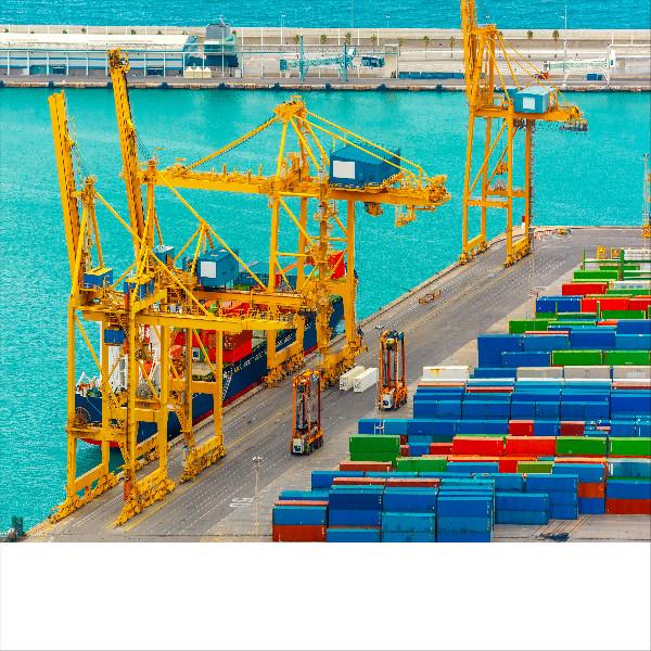 Buy cheap DDP International Sea Freight Forwarding From China To Europe from wholesalers