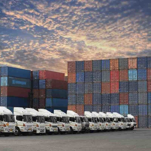 Sea Freight Service FCL LCL From To USA Shipment Destination LT Lithuania for Your Temperature-Sensitive Cargo