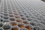 SS AISI310S Stainless Steel Hex Mesh Refractory 50X50mm Mesh
