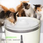 Dog Cat Water Fountain 2L Smart Timed Automatic Pet Feeder