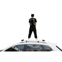 Buy cheap OEM Universal Cargo Luggage Roof Rack Carrier for Dodge Ram product