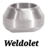 Weldolet Fitting / Reduce Fitting Stress Butt Weld Outlet For Natural Gas Field