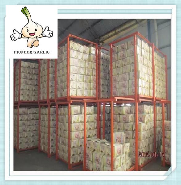 Buy cheap High quality garlic wholesale garlic 2016 Natural Fresh white garlic wholesales from wholesalers