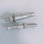 304 316 Stainless Steel Expansion Anchor Bolt Wedge Anchor M10 M12 Concrete