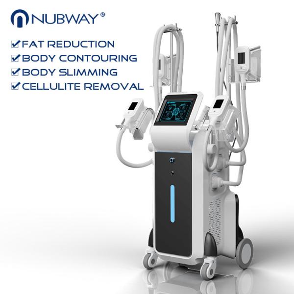 Buy cheap professional vertical 4 handles Cryolipolysis fat reduction double chin treatment beauty equipment with best effective from wholesalers