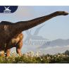Buy cheap Gaint Waterproof Realistic Dinosaur Models / CE RoHS Dinosaur Garden Art from wholesalers