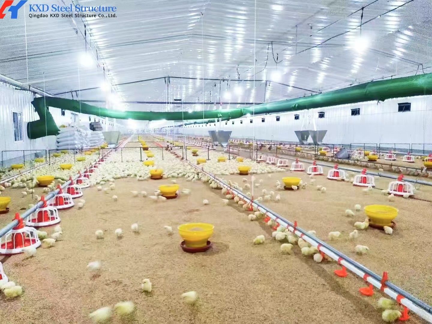 Commercial Building Steel Structure Plant Poultry House For Chicken Shed
