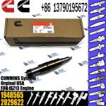 2029622 Genuine Diesel Common Rail Fuel Injector 1948565 2030519 2031836 2031835