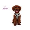 Buy cheap All Seasons 104g 120cm Neoprene Dog Walking Vest from wholesalers