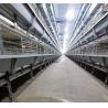 Buy cheap 20000 Birds Battery Chicken Layer Cage H Type For Pakistan Farm 2mm from wholesalers