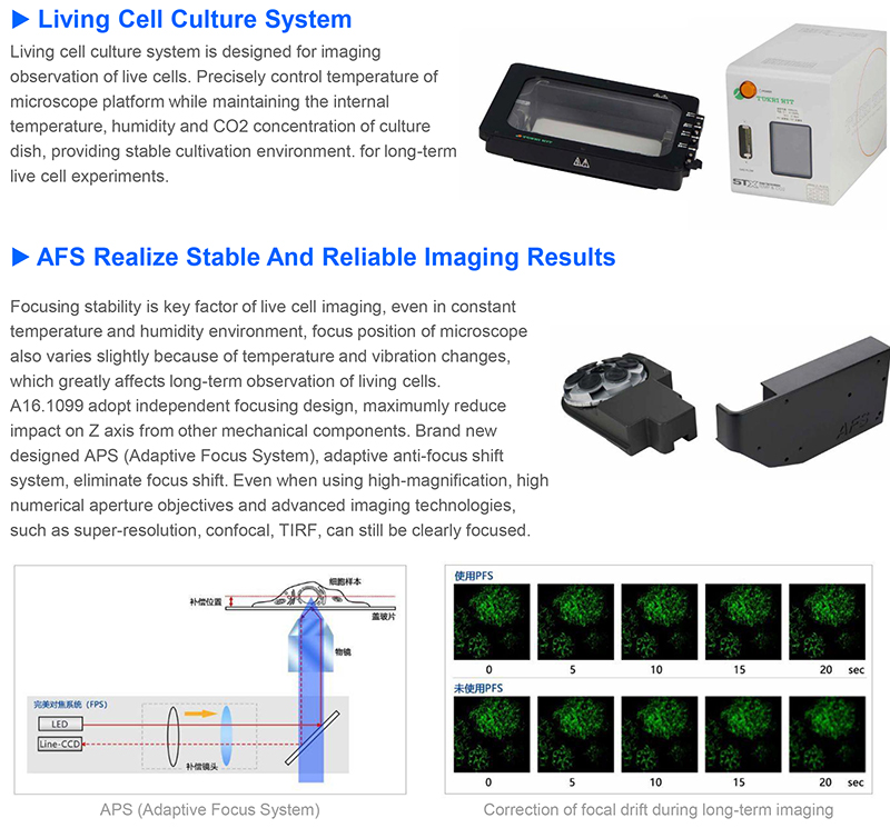 OPTO EDU A16.1099 Full Auto Semi-APO Inverted Fluorescent Microscope