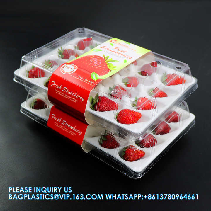 Wholesale Transparent Fresh Strawberry Packaging Container Supermarket Food Plastic Box Plastic Strawberry Packing Box