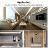 Buy cheap SMD2835 Ip65 Waterproof Light Dimming Tape Led Strip Lights For Bedroom Ceiling from wholesalers