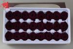 Wholesale real preserved rose stabilized natural preserved fresh flowers for